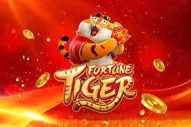Live casino experience on jili17 with real-time table games